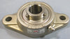 EBC SUCSFL204-12 2-Bolt Flange Bearing 3/4" Bore Set Screw Lock SUCSFL 204 12
