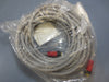 Allen Bradley 889N-F65GFNM-12 6 Pin 12 M Patch Cord Mini Straight M-F Ser A