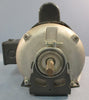 Dayton 6XJ08 Capacitor Start Motor 1/4 HP 1725 RPM 1 PH 1/2" Shaft Dia