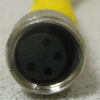 Turck PKG 4M4PSG 4M Cordset Female to Male 4Pin Connector U9910832 4m Long