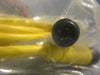 Molex 1200660692 BradConnectivity 884030K05M050 5 Meters Long Lots of 8