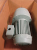 Tsubaki Gear Motor Ratio 1:100 0.4 kW - 4P, 3 Ph 200/220V GMTA040-38L100H