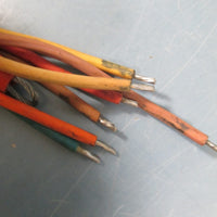COLUMBUS MCKINNON CORP. CM 36645 Control Cord - New 16 Foot Length