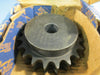 Martin D60B20H Double Roller Chain Sprocket #60 20 Teeth