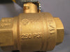 Apollo International Bronze Ball Valve 250 PSI 600 CWP ANSI/NSF 61-8 5 1 1/2"