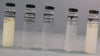 Hach StablCal 26595-05 Calibration Set for 2100AN & 2100ANIS 5 Sealed Vials