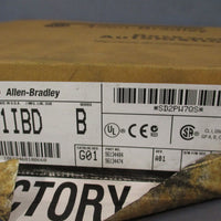 ALLENBRADLEY REV G01 INPUT MODULE SERIES B  1771IBD