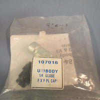 Unibody Valve 1/4" Globe F X F PL CAP