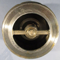 DFT 9037 WLC Wafer Check Valve 4" 150/300 Class 316 Trim 495psig Working Steam