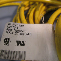 Lot of (2) TURCK EUROFAST CORDSET U21706 RK4.2T5/S748 U21706