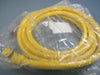 Brad Connectivity 12" 16/12 AWG PVC Cordset 1300080216
