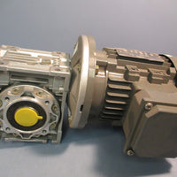 Qin Wei 220/380 V Motor PD0823009 w/ Wan Sin Worm Reducer NMRW050 S/N 12022581