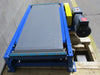 Lewco NS-MDPB-18-48 Motorized 48 x 18" Conveyor Leeson 3/4 HP & Ironman 40:1