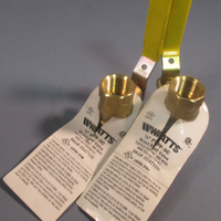 Lot of (2) Watts 1/2" Brass Ball Valve FBV3C Sku# 0547102