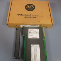 Allen Bradley 120V AC/DC Input Module Series D 1771IAD