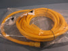 Allen-Bradley 889N-F5AF-20F 5 Pin Mini Straight 20' Ft CordSet QD Cable Series B