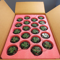 Box of 80 Nuventix 5 VDC SynJet Par3833W Cooler Model SP38SCM005012 NIB