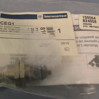 Telemecanique Limit Switch Plunger Head ZCEG1