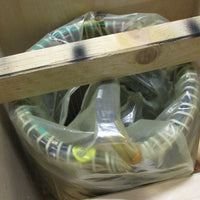 Lot of 2 Franz Kessler DME 046.40.6.FCS 20002709 Motor Stator 19/29 kW, 3 Phase