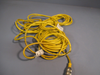 Lot of (2) TURCK EUROFAST CORDSET U2170-6 RK4.2T-5/S748 U2170-6