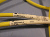 Lot of (2) Allen Bradley 889D-R4AC-5 Ser. B Single Ended DC Micro Cordset 4-Pin