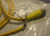 Brad Connectivity 1200650255 Receptacle 4Pin Female PVC Cord set Lot of 2