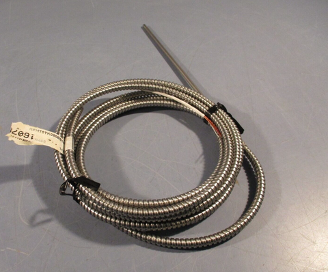 WATLOW RTD, LEAD, Flex Cover RFHT0TK080BB100