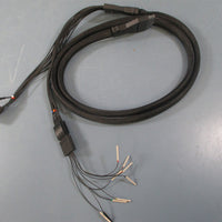 Tektronix P6417 Logic Analyzer Probe (D2,D3)  Used