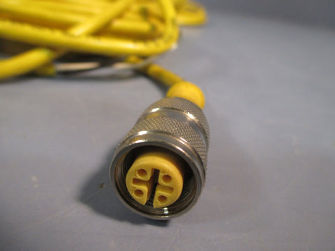 Lot of (2) TURCK EUROFAST CORDSET U21706 RK4.2T5/S748 U21706