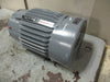 US Motors X10E2BCR 10 HP Motor 1755 RPM 215TC Frame 3 Phase 230/460 Volt