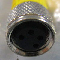 (Lot of 2) Turck PKG 4M1PSG 4M Electrical Cable U9917490 125V 2A 4Pin Conn.