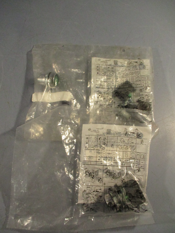Lot of 2 Allen-Bradley Illuminated Flush Push Button Green Ser A 800FM-LF3MQ3G10