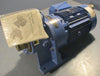 Sumitomo 3 Phase Induction Motor 3/4Hp 1720 Rpm 1.15 SF 1 9/64 Shaft Dia