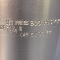 REGO AA3135A300 Safety Relief Valve 300 PSIG Set Pressure, 1-1/4 Inch