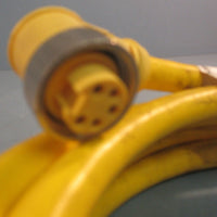 Mencom MINM5FP12RSB01 Cordset 600V 8A 5 Pole 12 Ft Length