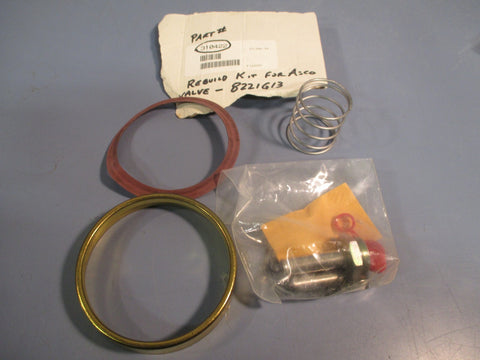 Asco Valve Rebuild Kit 310422 for Valve 8221G015AC120/60D  Incomplete kit