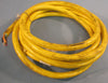 Mencom MINM-5FP-12-R-SB01 Cordset 600V 8A 5 Pole 12 Ft Length