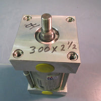 Salina Vortex Pneumatic Cylinder I300x2 1/2 Max 250 PSI DAC30AB