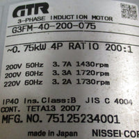 GTR G3FM-40-200-075 Induction Gear Motor 4P, 0.75 kW, 200:1 Ratio, 1430-1730 RPM