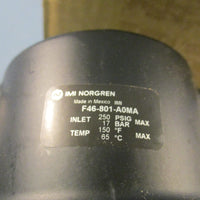 IMI NORGREN F46801A0MA Oil Remover Filter 1" PTF Threads 250PSIG 17 Bar