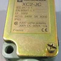 Schneider Electric Telemecanique ZC2JC1H5 Limit Switch XC2JC 1/2"NPT 250VAC