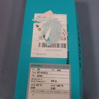 REMBE GmbH Safety + Control Diaphragm Bursting Kit BTKUB2 90518108131985