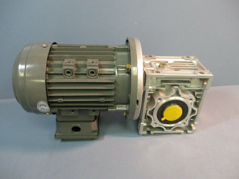 Qin Wei Asynchronous 220 / 380 V Motor PD0823009 w/ Wan Sin Worm Reducer NMRW050