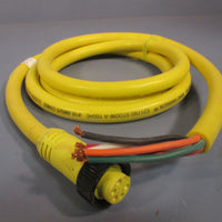 Daniel Woodhead/Brad Harrison Electrical Cable W80650