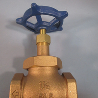 BRONZE BODY GLOBE VALVE 1/12" NPT 150SWP 300CWP T-211-Y
