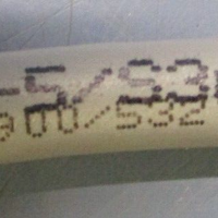 ESCHA 8028900/53210 Female Cable Assy. 12 Pin WAKS125/S366/S2684 5M Long