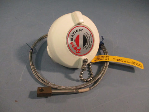 PyroMation RBF1853RB1-F3B036-CG-63SB RTD Temperature Sensor