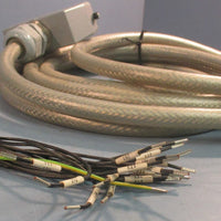 Helukabel YCYJZ Cable 15' Aprx W/ EPIC 10196000 24 Position Male Connector