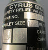Cyrus Shank 803 Safety Relief Valve 803-250 1/2" Inlet 250 PSIG 573 SCFM