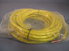 Allen-Bradley QD Cordset 6 Pin Mini Straight 10 Meter Series B 889N-F6AF-10